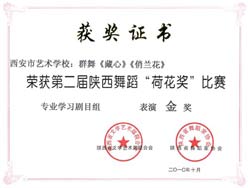 西安市艺术学校荣获第二届陕西舞蹈&ququot;荷花奖"比赛 表演金奖